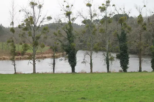 Abri Piscine Plat Prix abri de piscine Muzillac